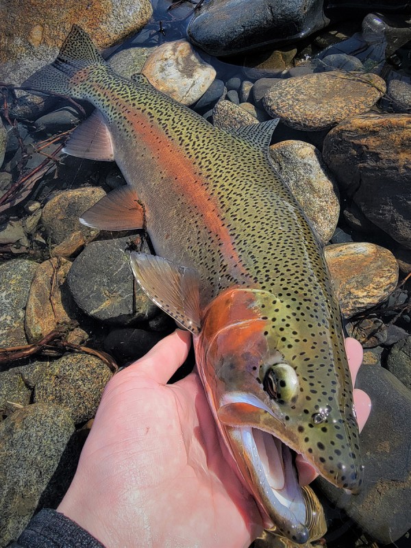 Photo／Lowermiddle3