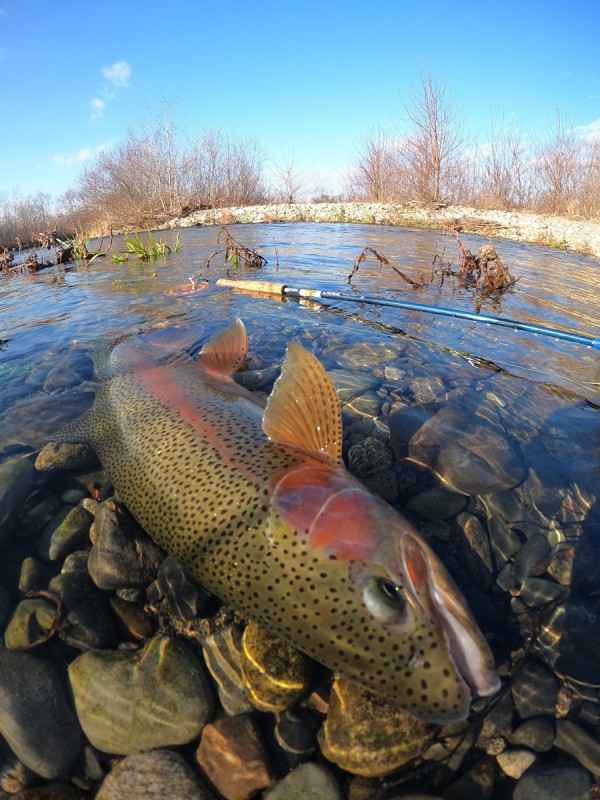 Photo／Lowermiddle2