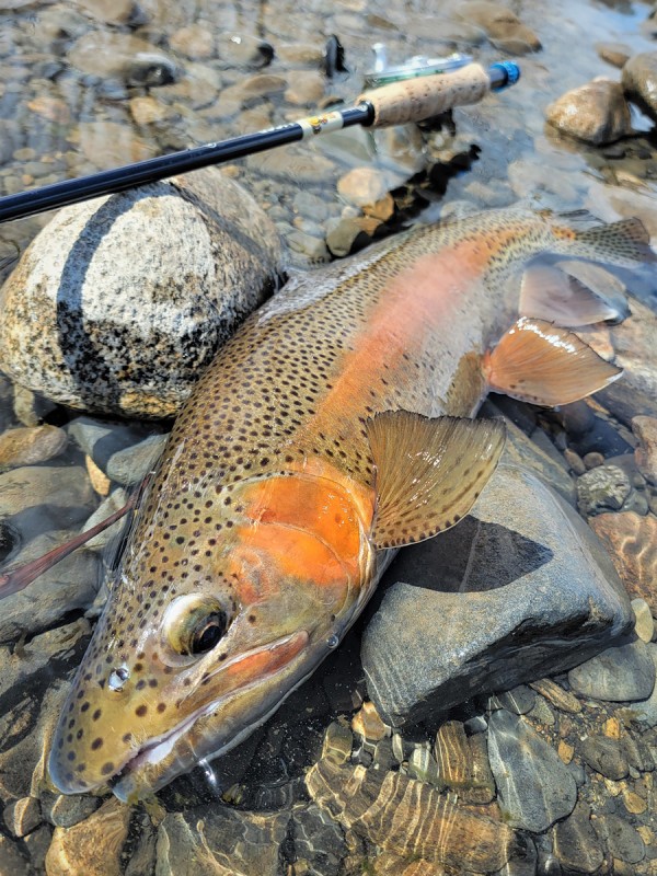 Photo／Lowermiddle1