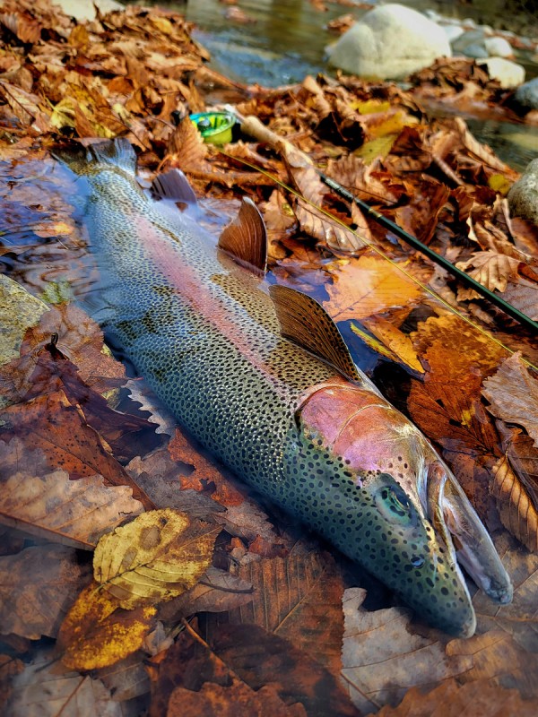 Photo／Mountainstream3