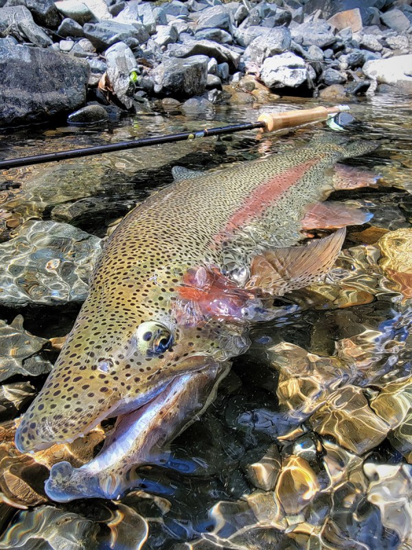 Photo／Mountainstream2