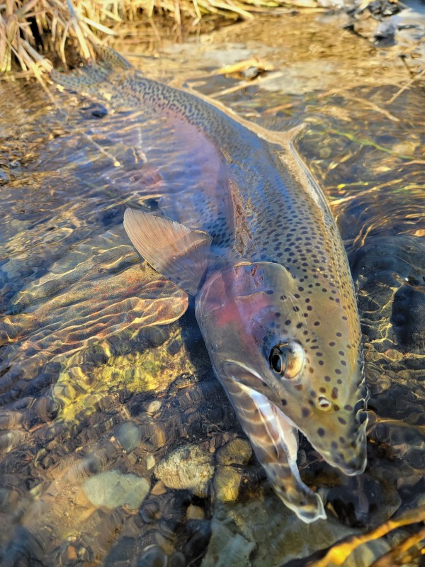 Photo／Lowermiddle6