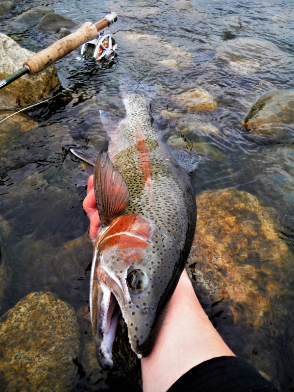 Photo／Lowermiddle7