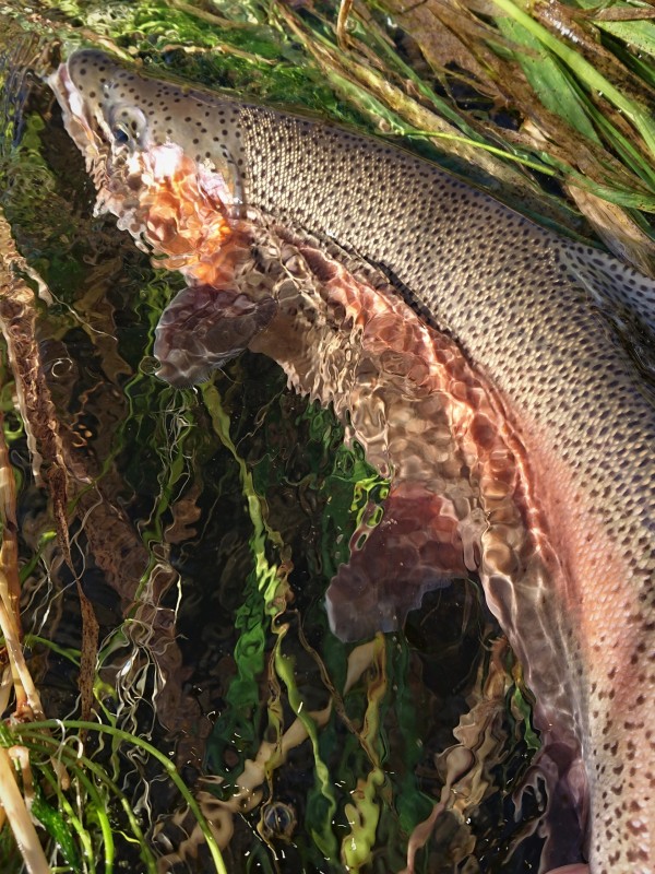 Photo／Lowermiddle8