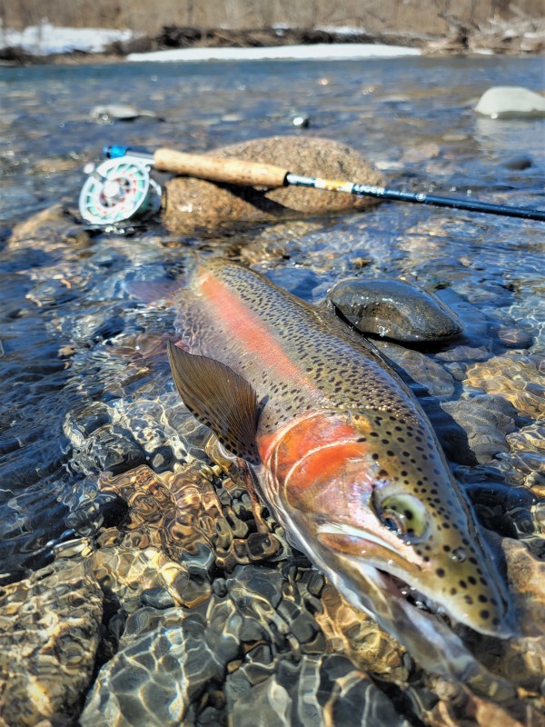 Photo／Lowermiddle9