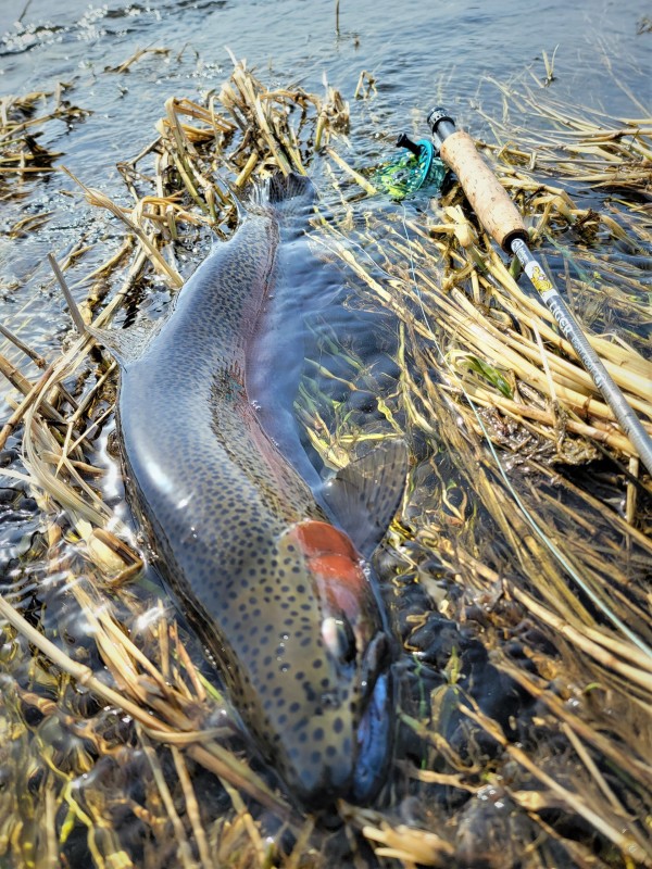 Photo／Lowermiddle10