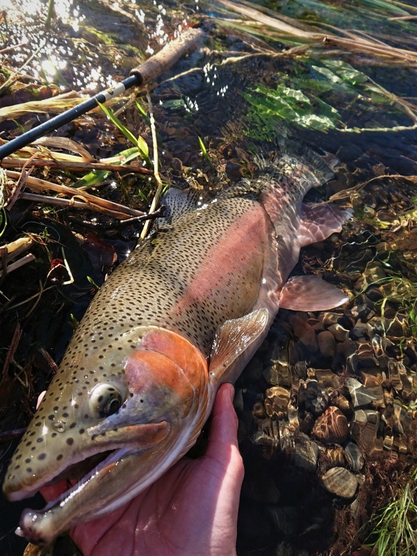 Photo／Lowermiddle11