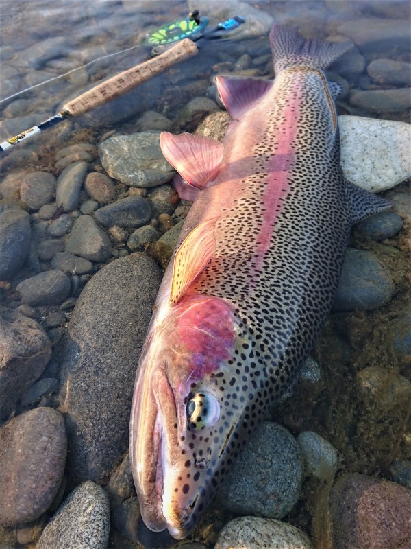 Photo／Lowermiddle12