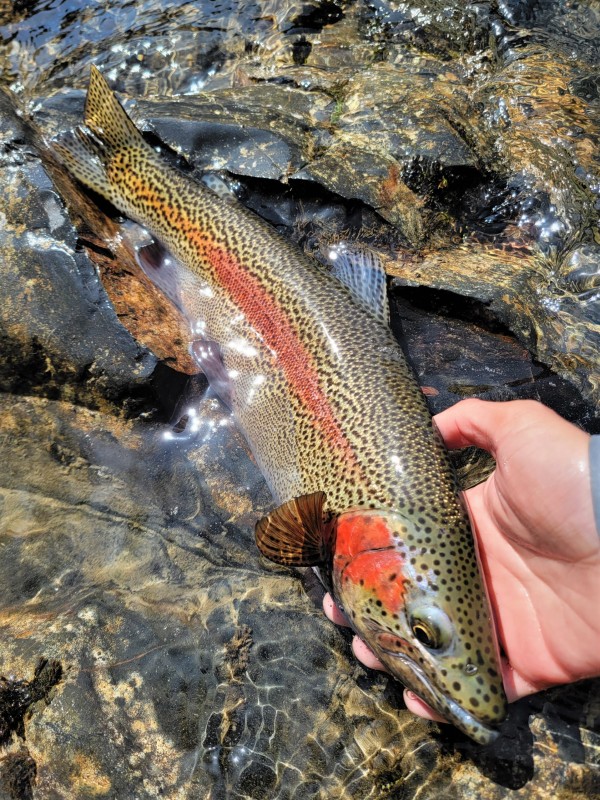 Photo／Mountainstream6