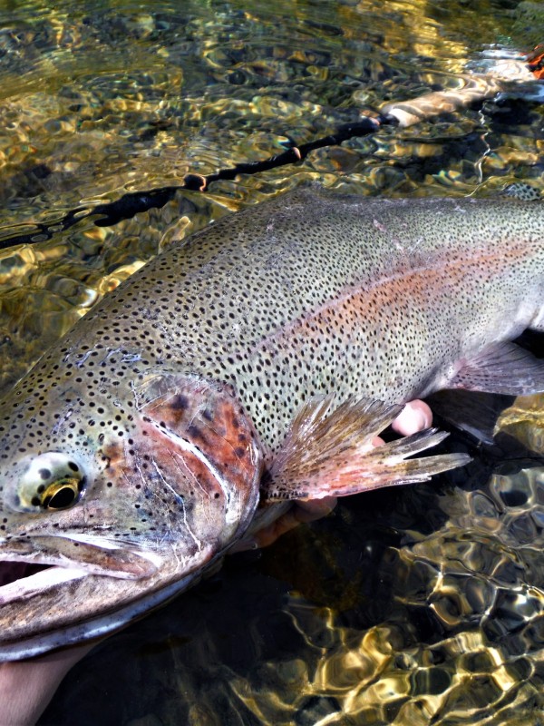 Photo／Mountainstream7