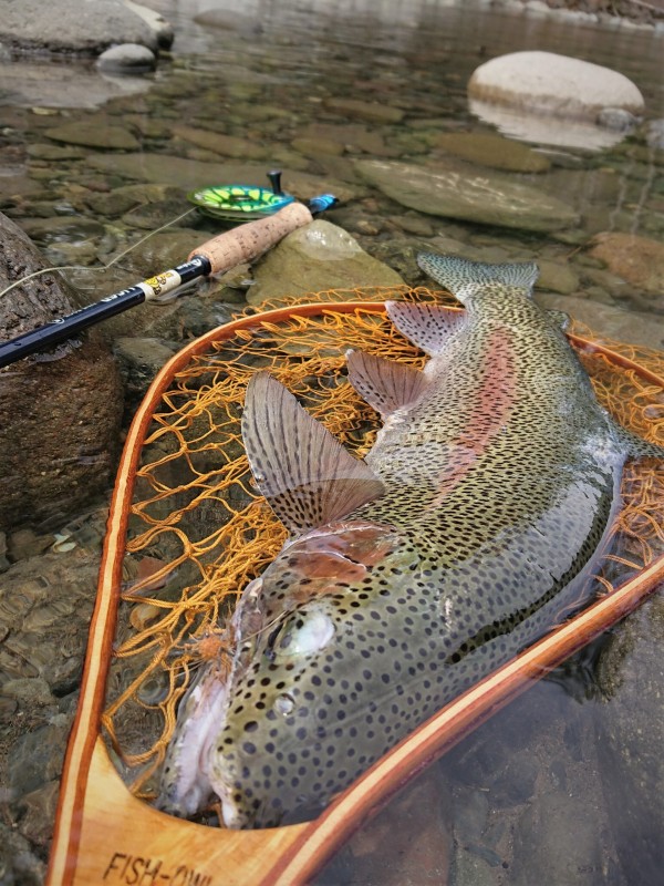 Photo／Mountainstream8