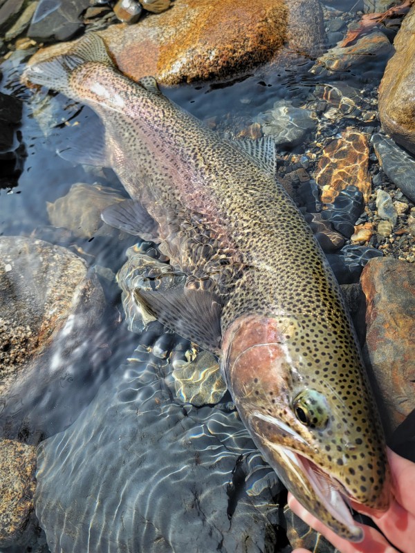 Photo／Mountainstream10