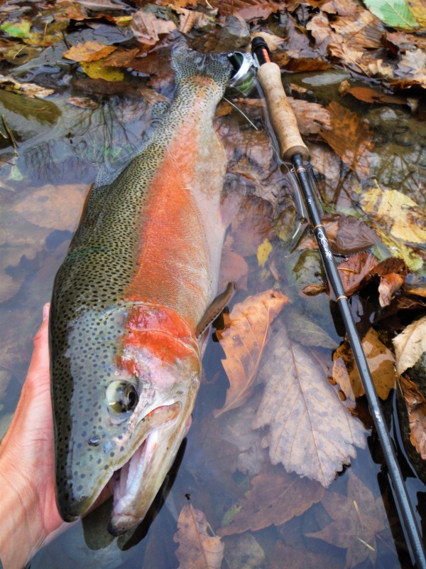 Photo／Mountainstream11