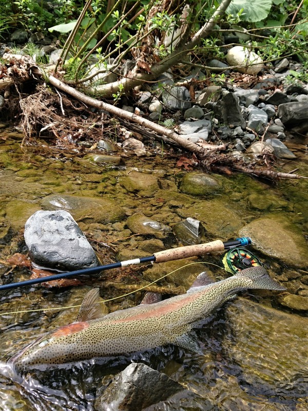 Photo／Mountainstream12