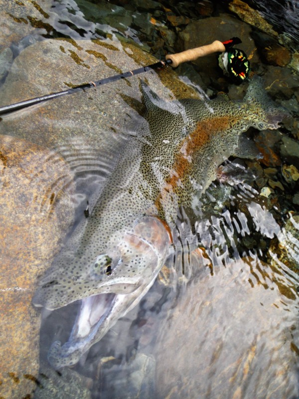 Photo／Mountainstream14