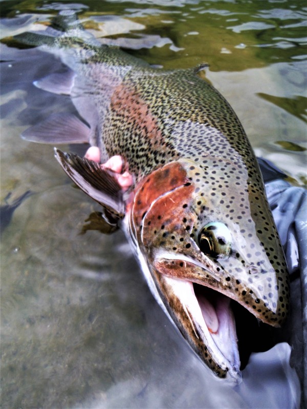 Photo／Mountainstream15