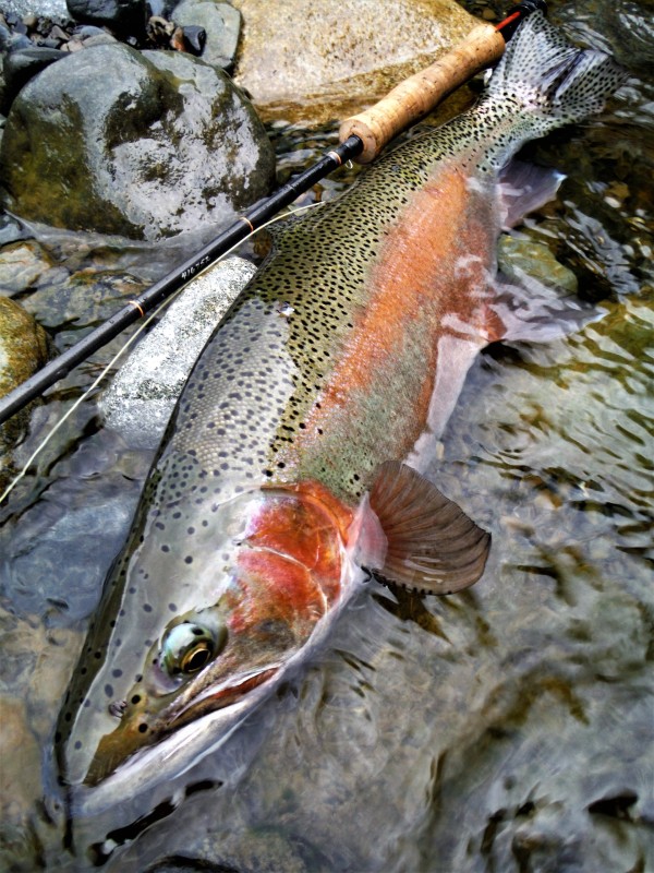 Photo／Mountainstream16