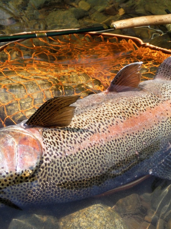 Photo／Mountainstream17