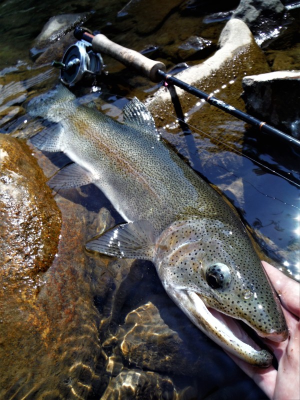 Photo／Mountainstream18