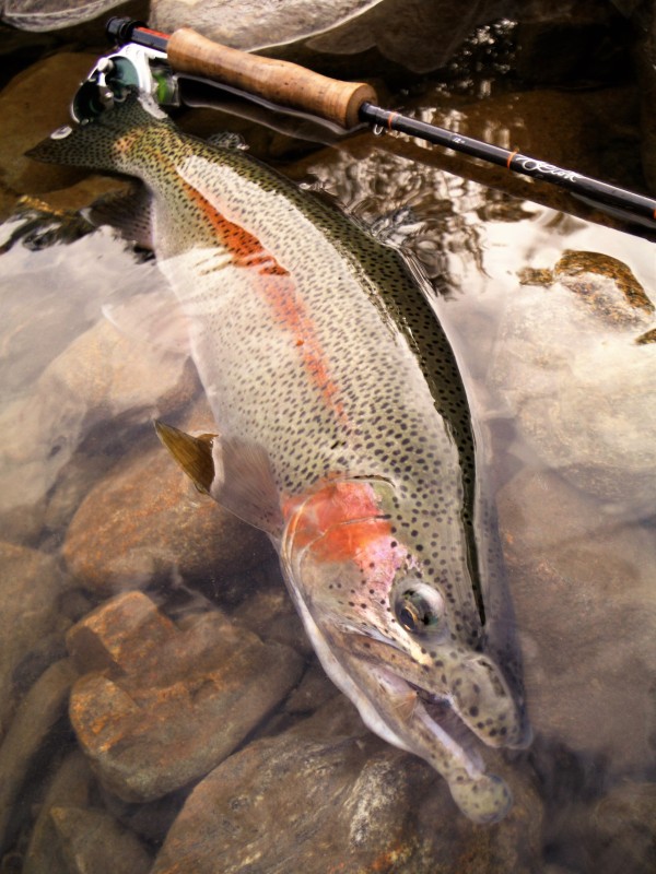 Photo／Mountainstream19