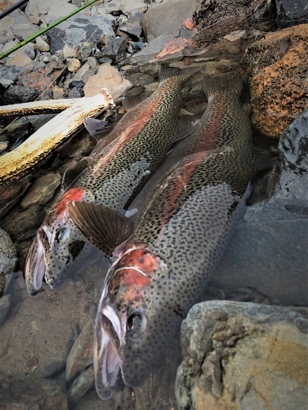 Photo／Mountainstream20