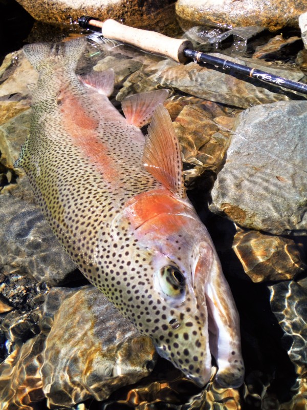 Photo／Mountainstream21