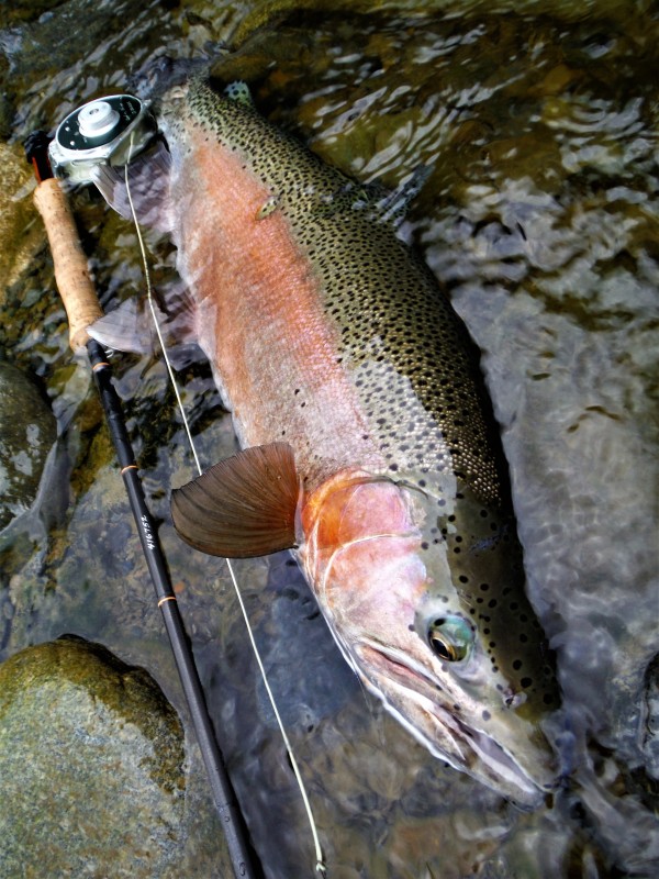 Photo／Mountainstream22