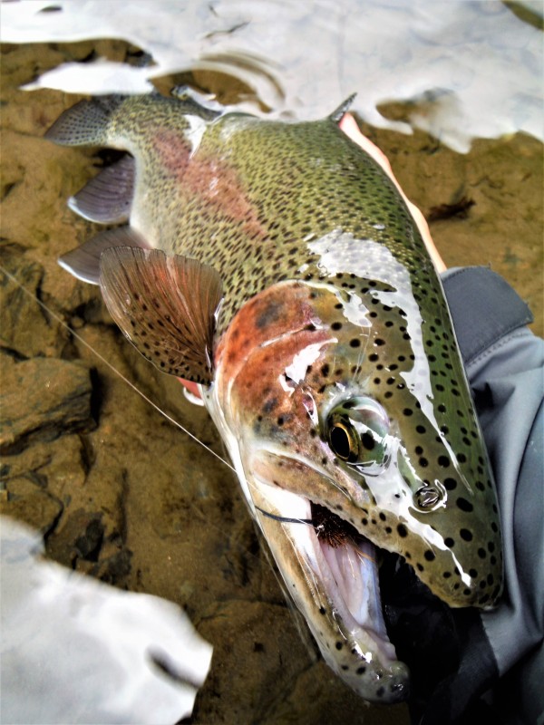 Photo／Mountainstream24