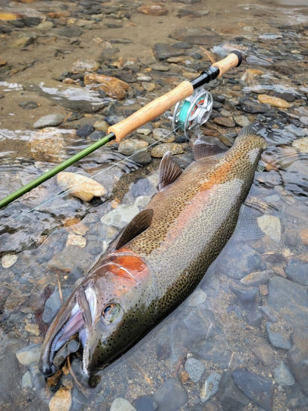 Photo／Mountainstream26