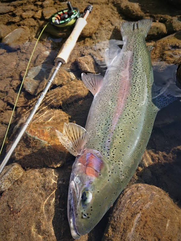 Photo／Mountainstream28