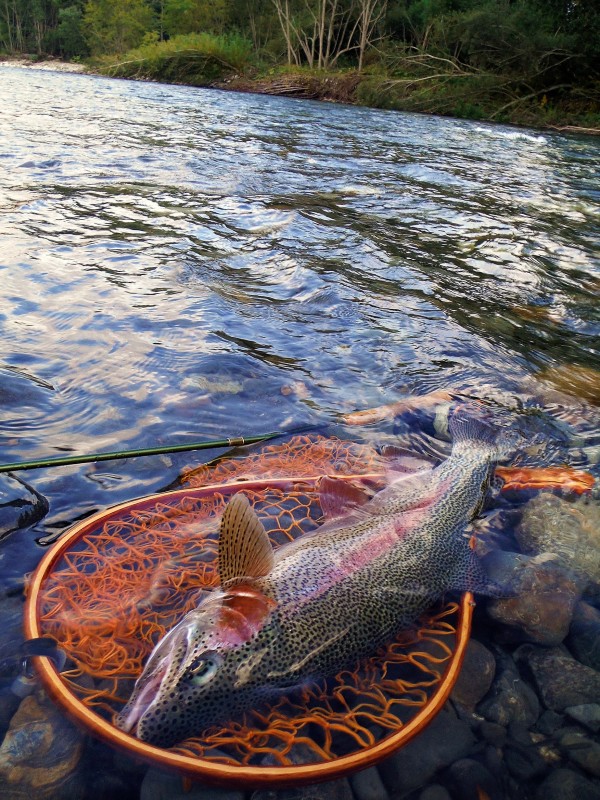 Photo／Mountainstream30