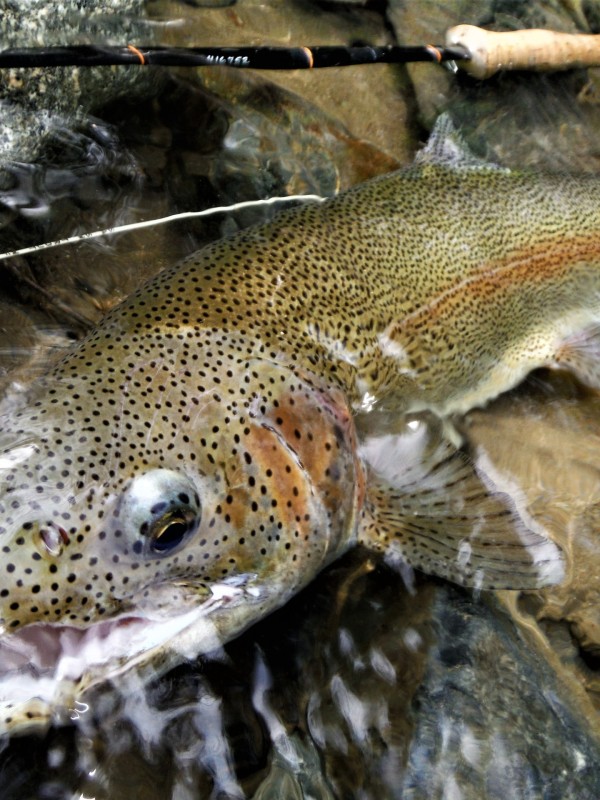 Photo／Mountainstream31