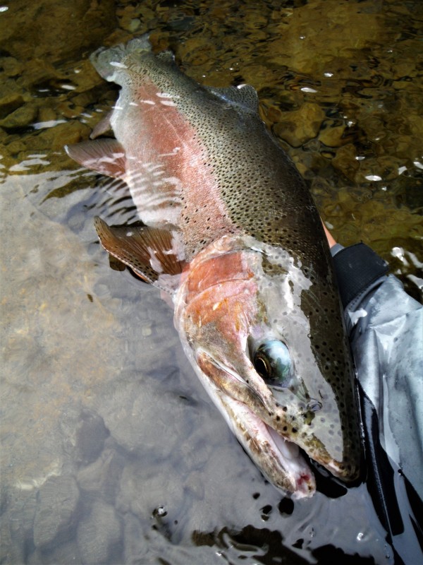 Photo／Mountainstream32