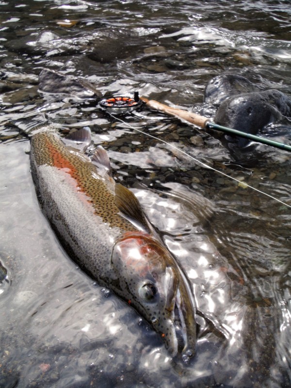 Photo／Mountainstream33