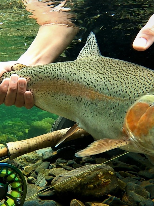 Photo／Mountainstream34