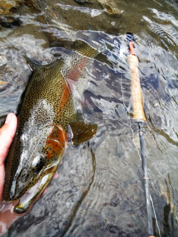 Photo／Mountainstream35