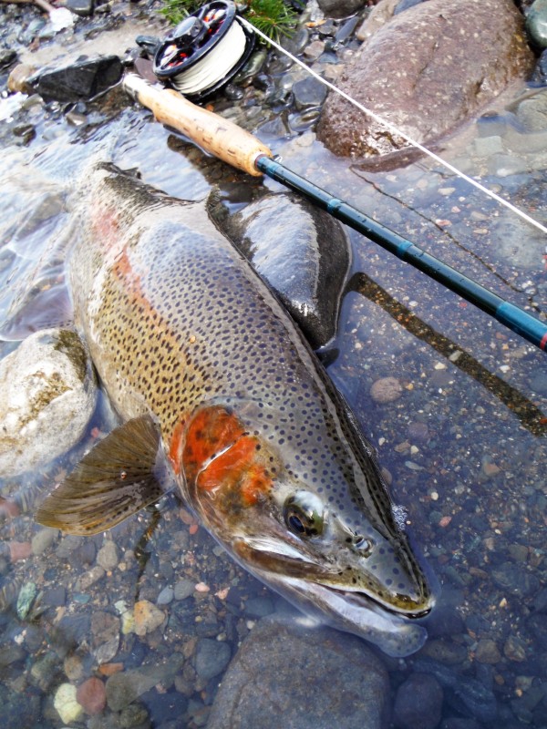 Photo／Mountainstream36