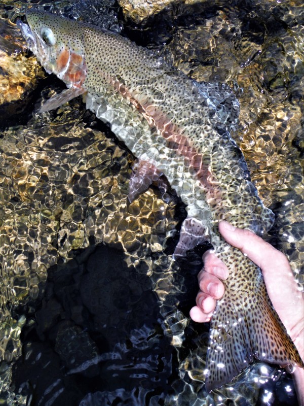 Photo／Mountainstream37