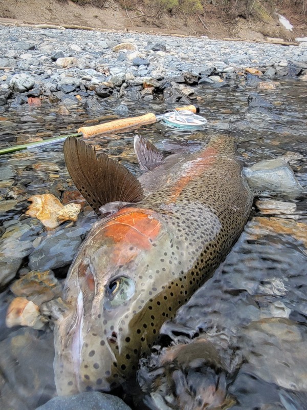 Photo／Mountainstream38