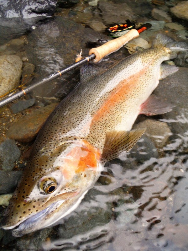 Photo／Mountainstream39