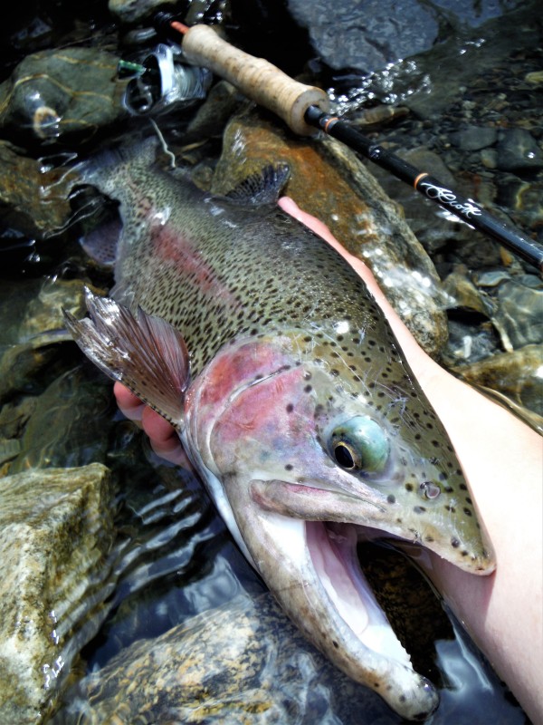 Photo／Mountainstream40