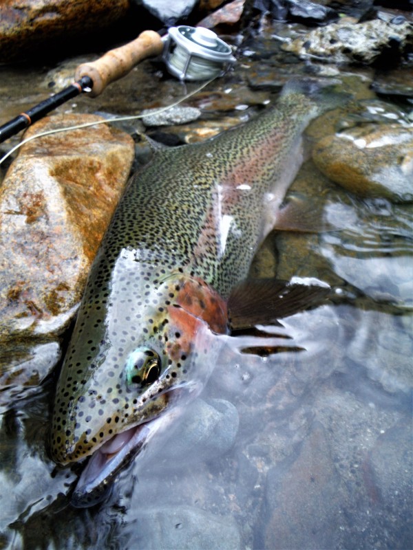 Photo／Mountainstream41