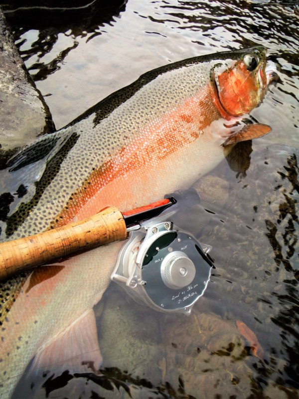 Photo／Mountainstream42