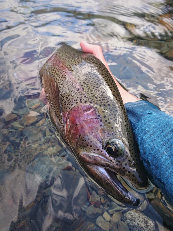 Photo／Mountainstream43