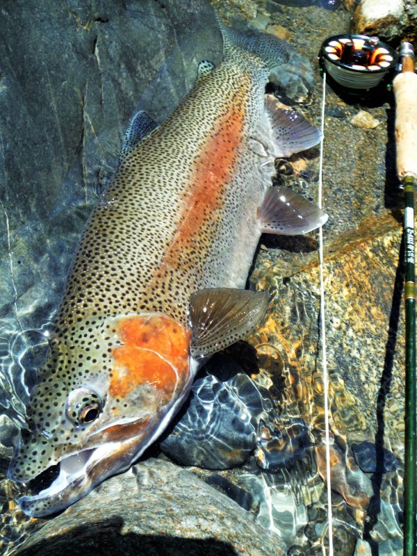 Photo／Mountainstream44