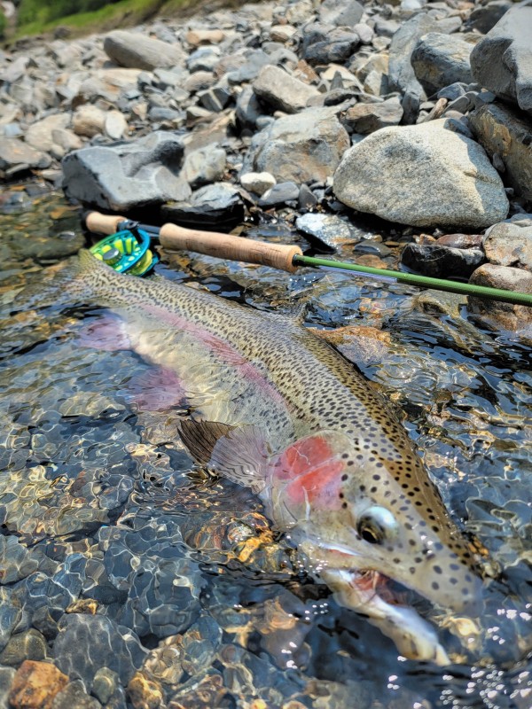 Photo／Mountainstream45