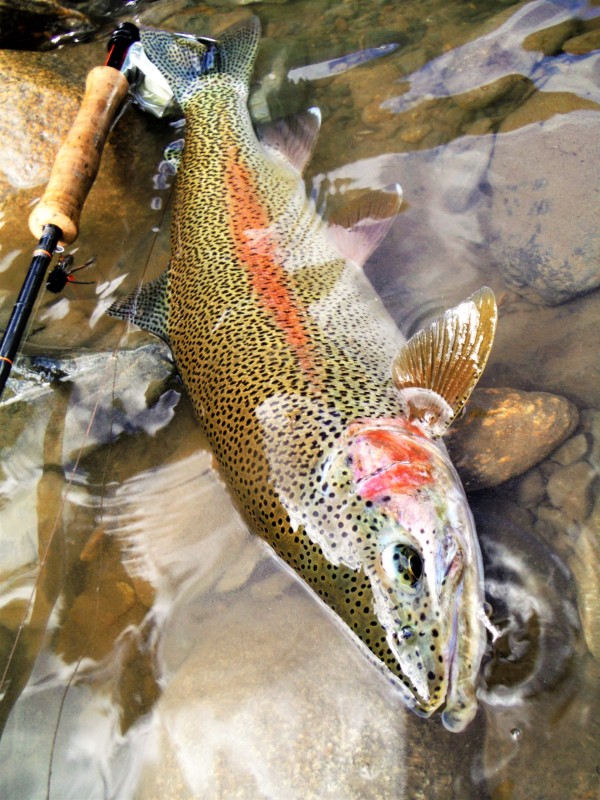 Photo／Mountainstream47