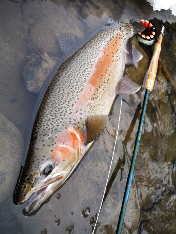 Photo／Mountainstream48