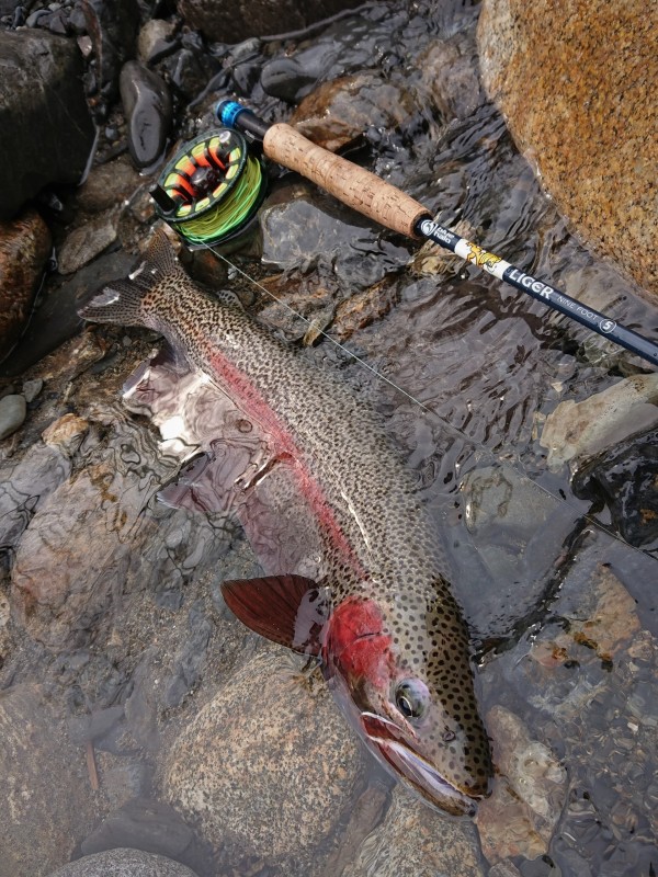 Photo／Mountainstream49