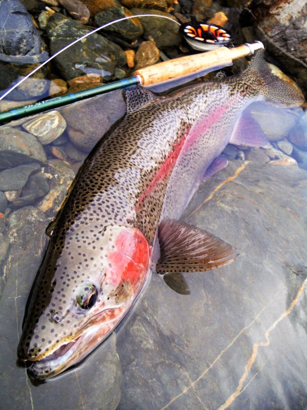 Photo／Mountainstream50